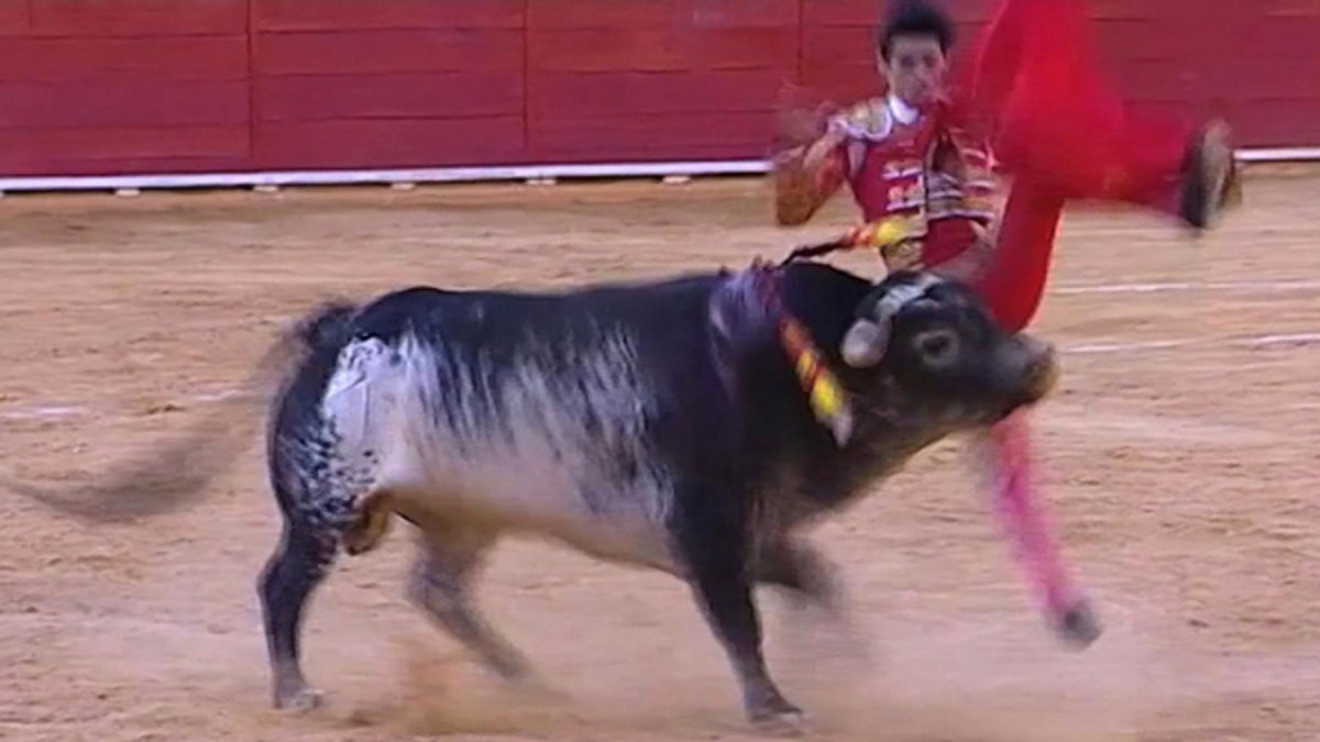 Spain Matador Killed