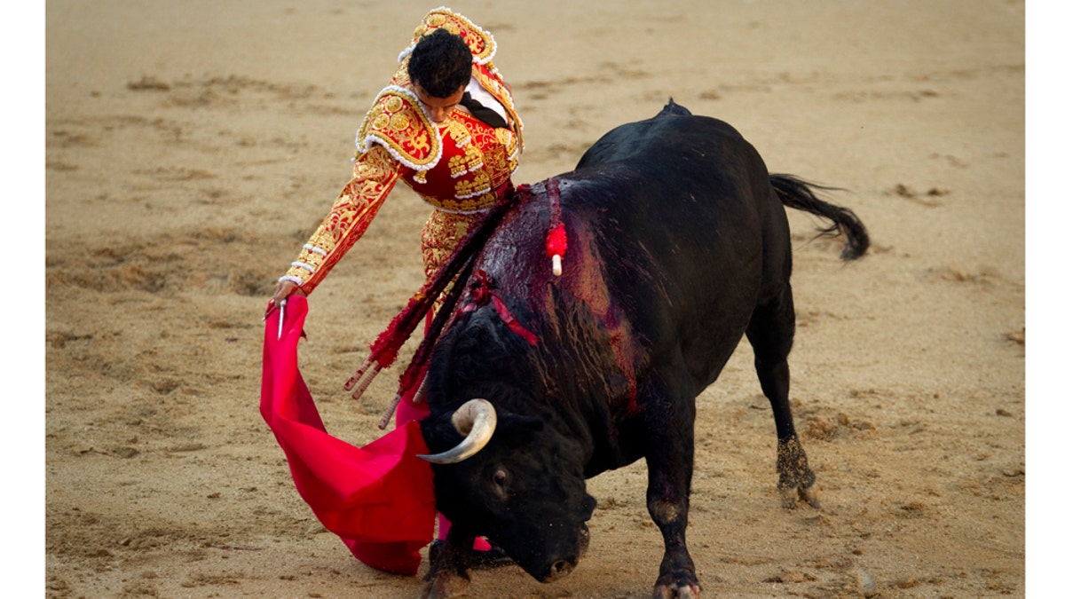 c190ae0a-Spain Bullfighting Ban