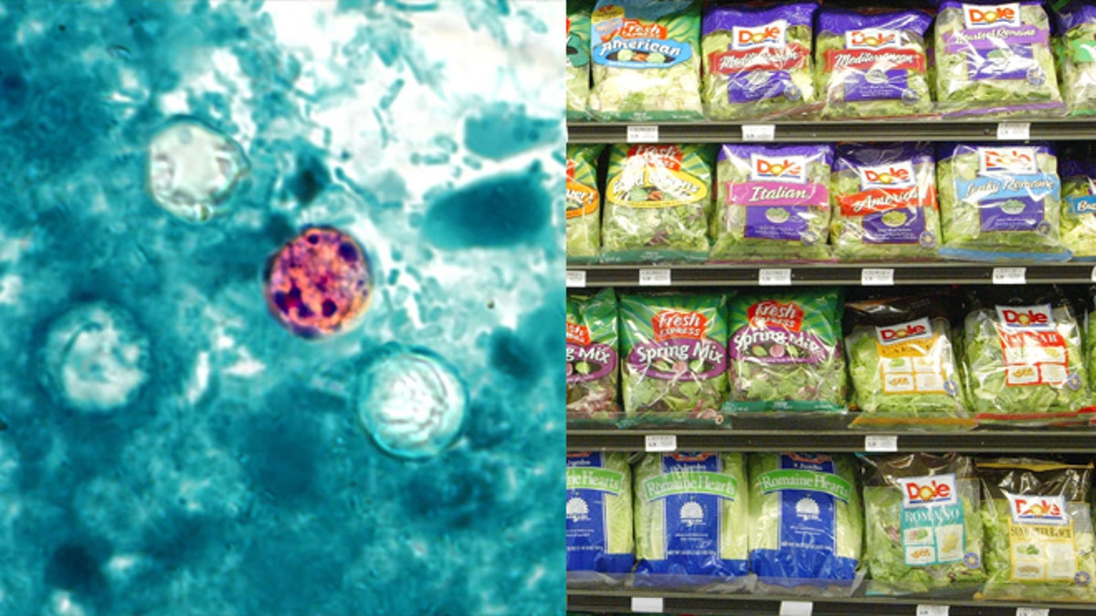 PrePackaged Salads Linked To Stomach Bug Outbreak Fox News