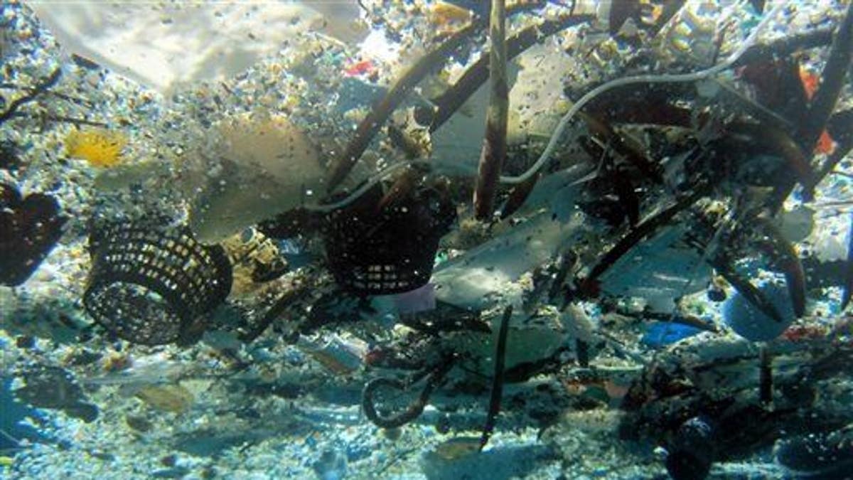 This 2008 photo provided by NOAA Pacific Islands Fisheries Science Center shows debris in Hanauma Bay, Hawaii. A study released by the Proceedings of the National Academy of Sciences on Monday, June 30, 2014, estimated the total amount of floating plastic debris in open ocean at 7,000 to 35,000 tons. The results of the study showed fewer very small pieces than expected. (AP Photo/NOAA Pacific Islands Fisheries Science Center)