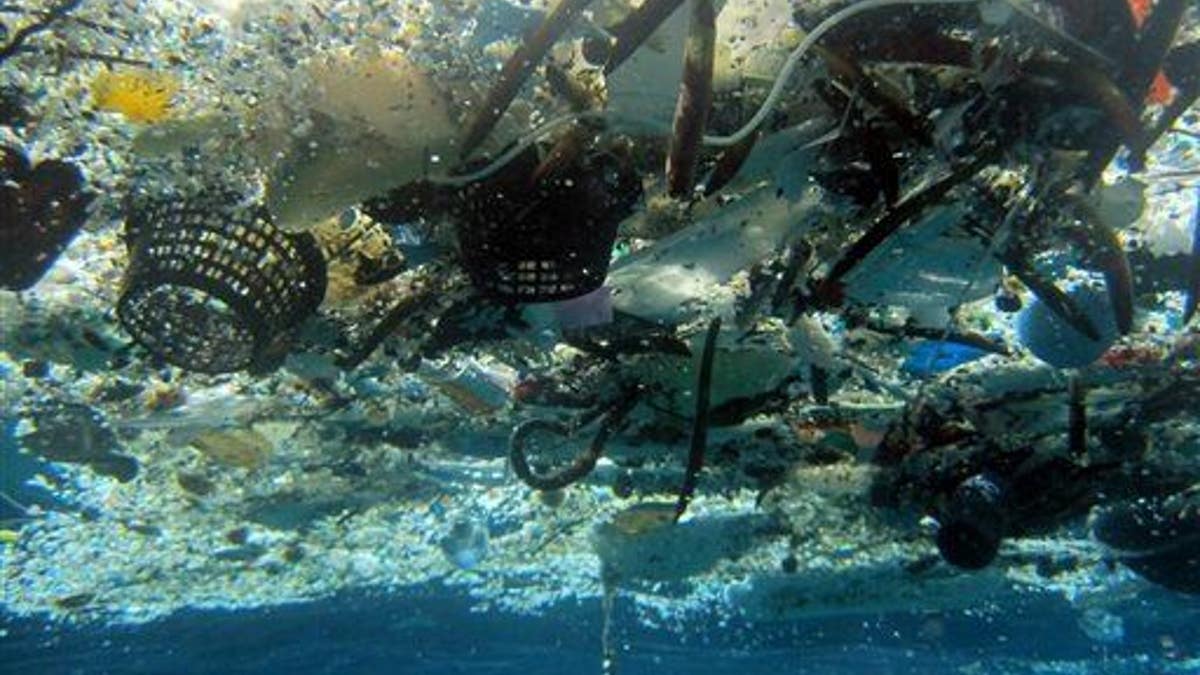 This 2008 photo provided by NOAA Pacific Islands Fisheries Science Center shows debris in Hanauma Bay, Hawaii. A study released by the Proceedings of the National Academy of Sciences on Monday, June 30, 2014, estimated the total amount of floating plastic debris in open ocean at 7,000 to 35,000 tons. The results of the study showed fewer very small pieces than expected. (AP Photo/NOAA Pacific Islands Fisheries Science Center)