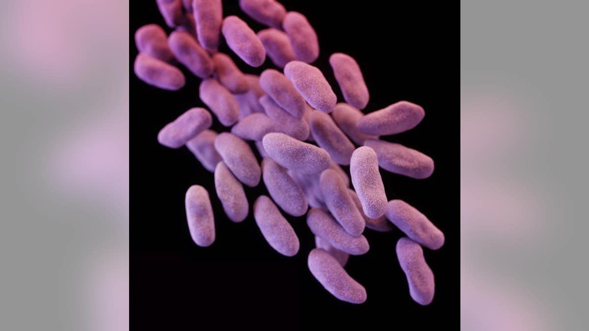 3e2bd92b-Hospital Superbug Outbreak