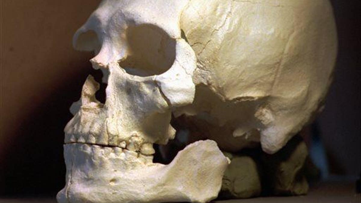 6e33e457-Ancient Skeleton