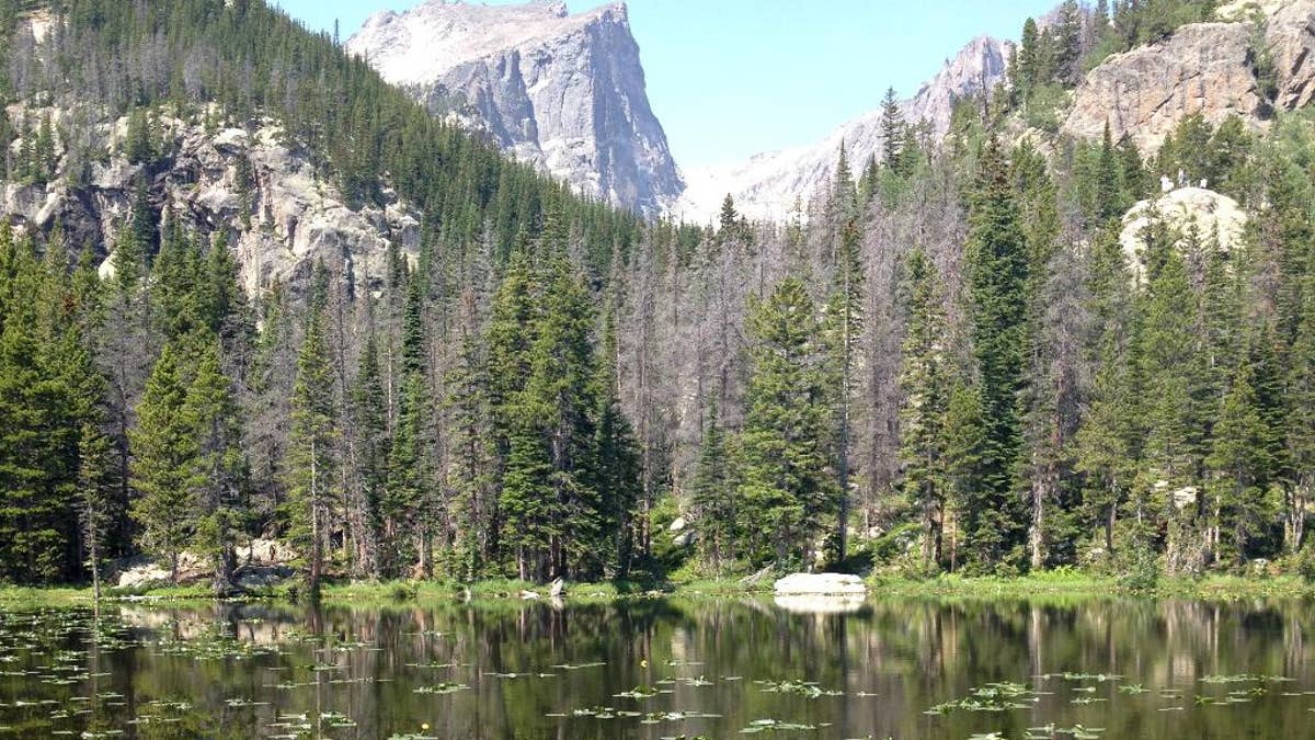 July 19, 2014: Nymph Lake in the Bear Lake Corridor Trails area in Rocky Mountain National Park in Colorado. 