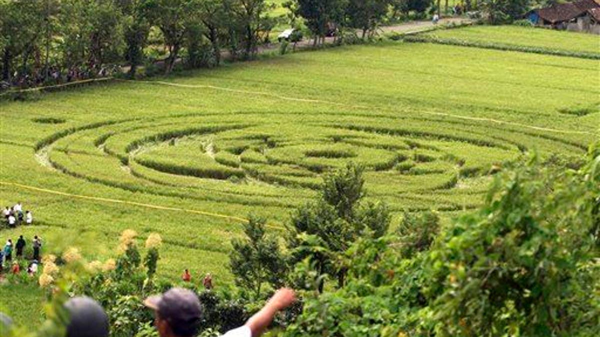 Indonesia Crop Circle