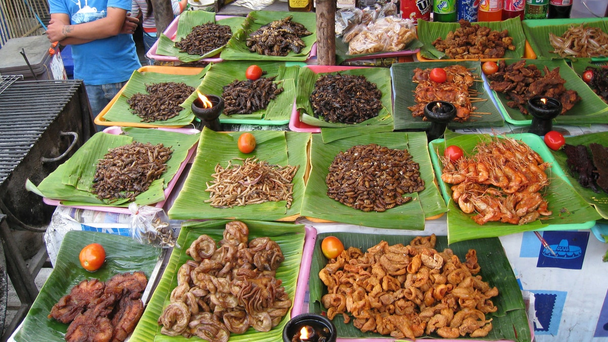 Italy UN Insects For Food