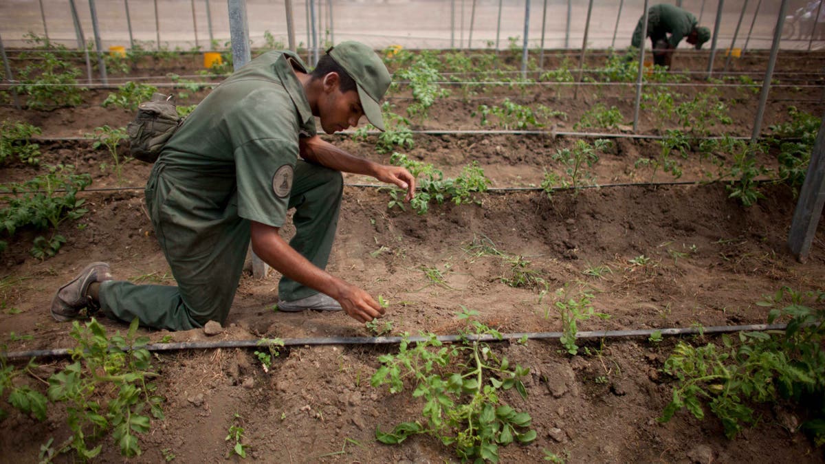 VENEZUELA-EJERCITO