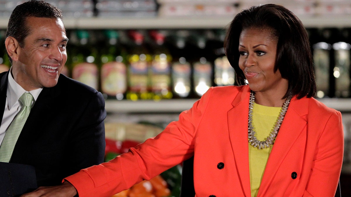 Michelle Obama Grocery