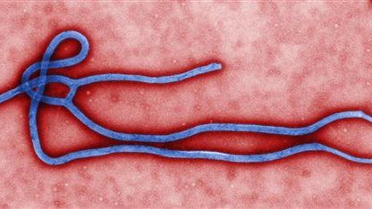 Ebola-CDC brief