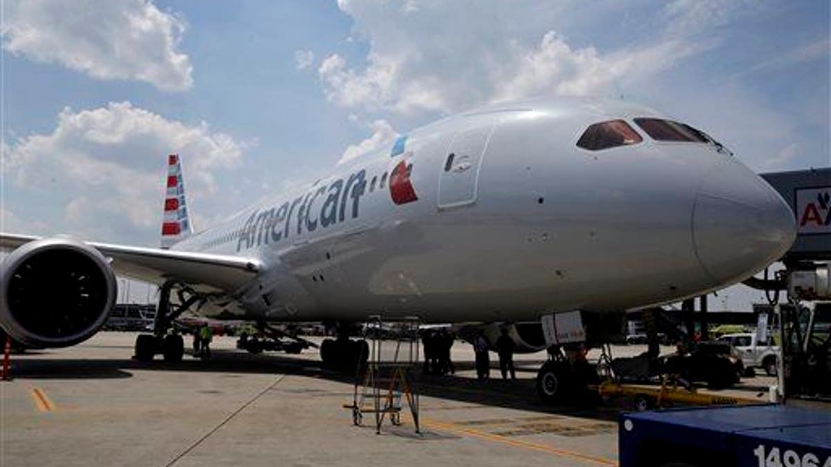 American Airlines Dreamliner Chicago