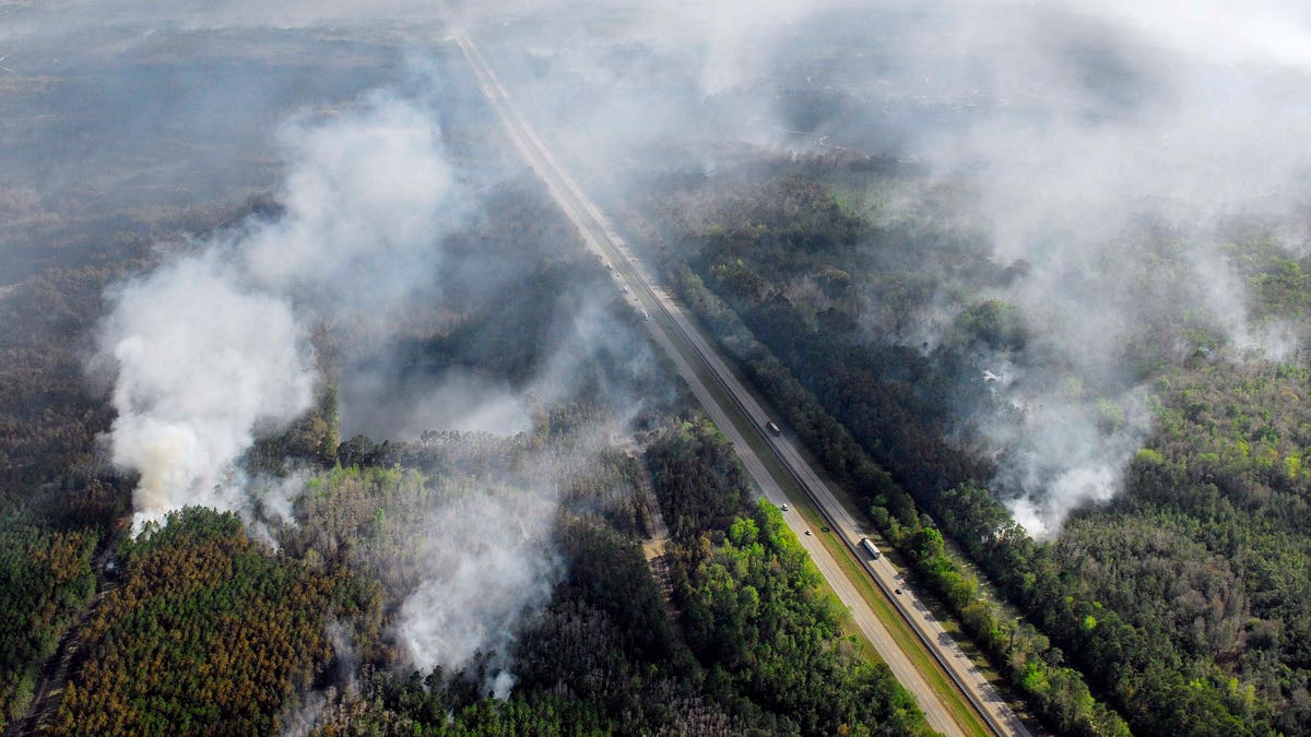 Wildfire Central Florida