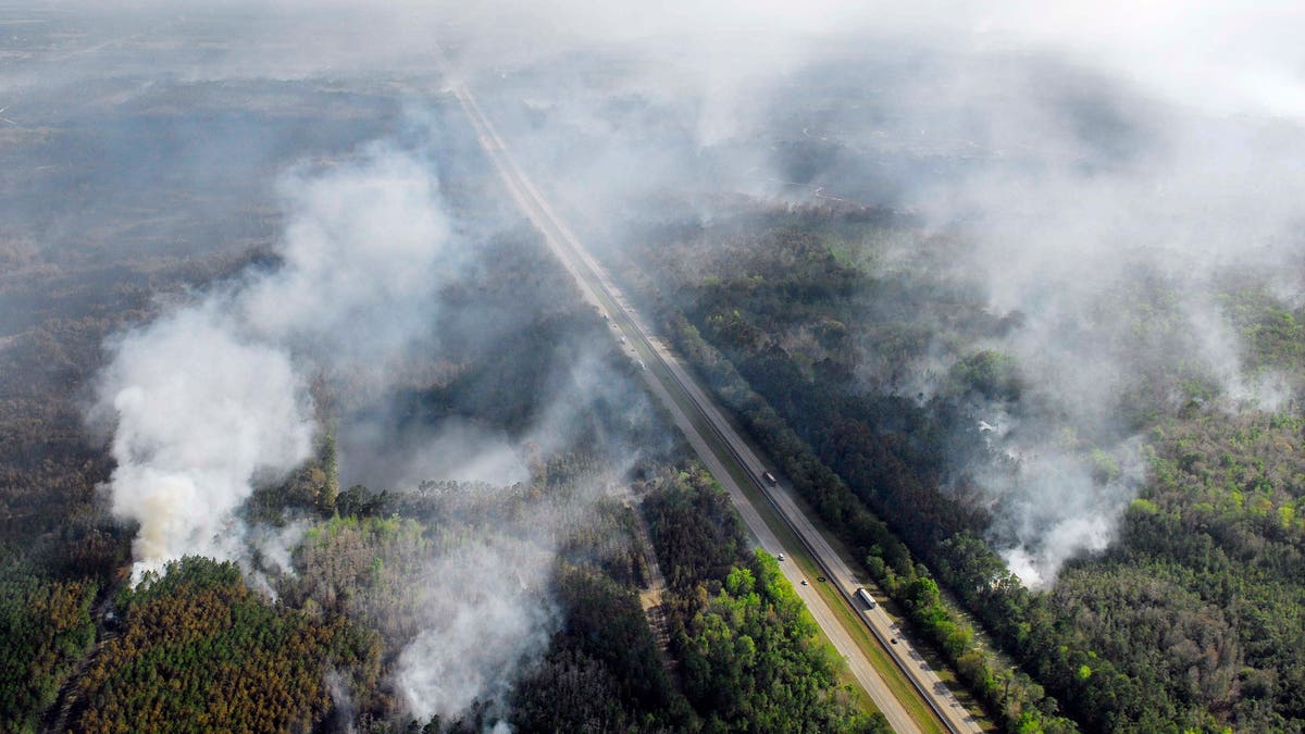 Wildfire Central Florida