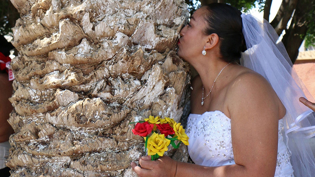 Woman Kissing Tree