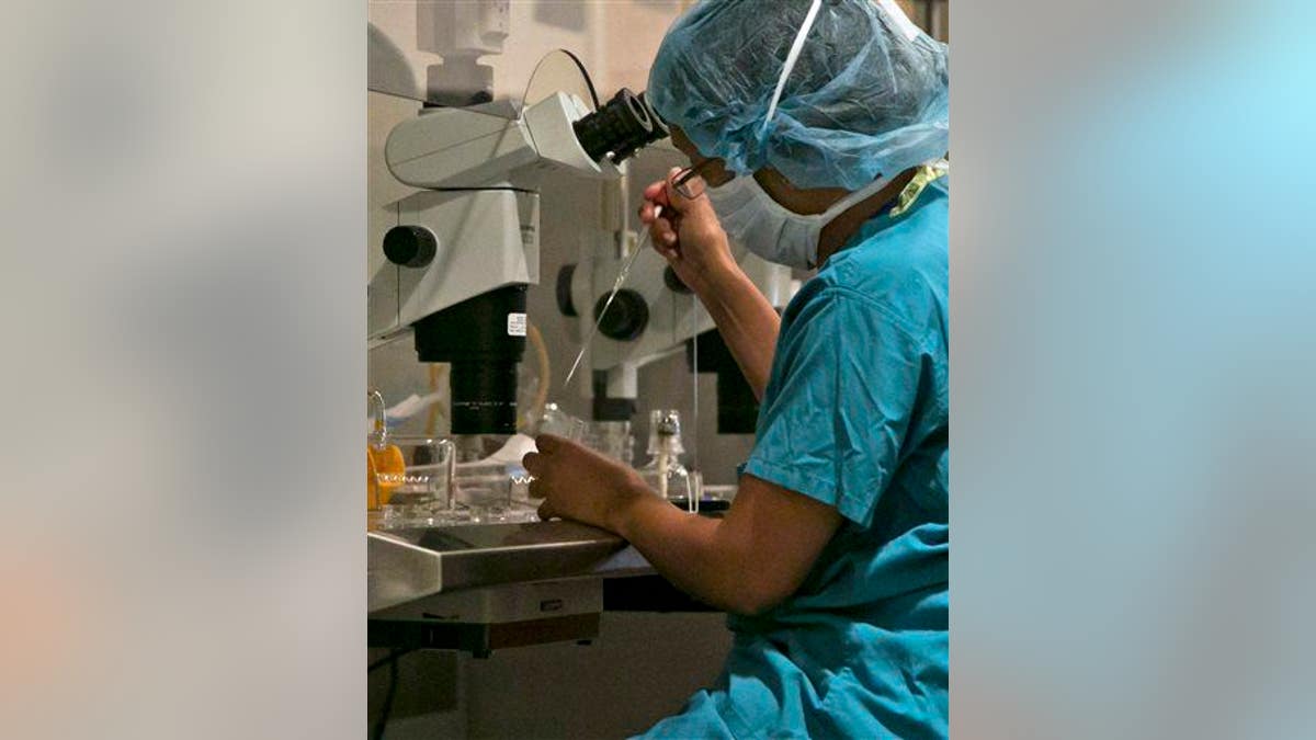 Gay Couples Fertility Help