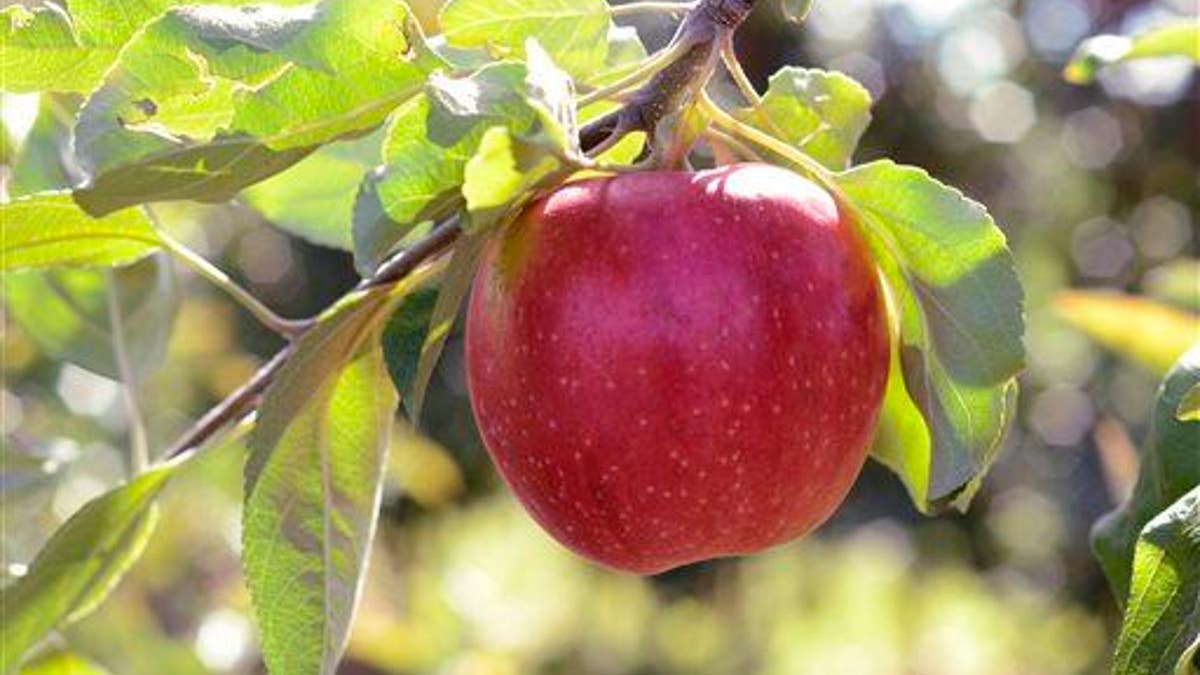 An apple a day