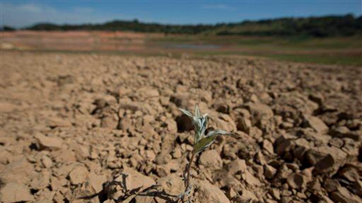 Brazil Dry Sao Paulo