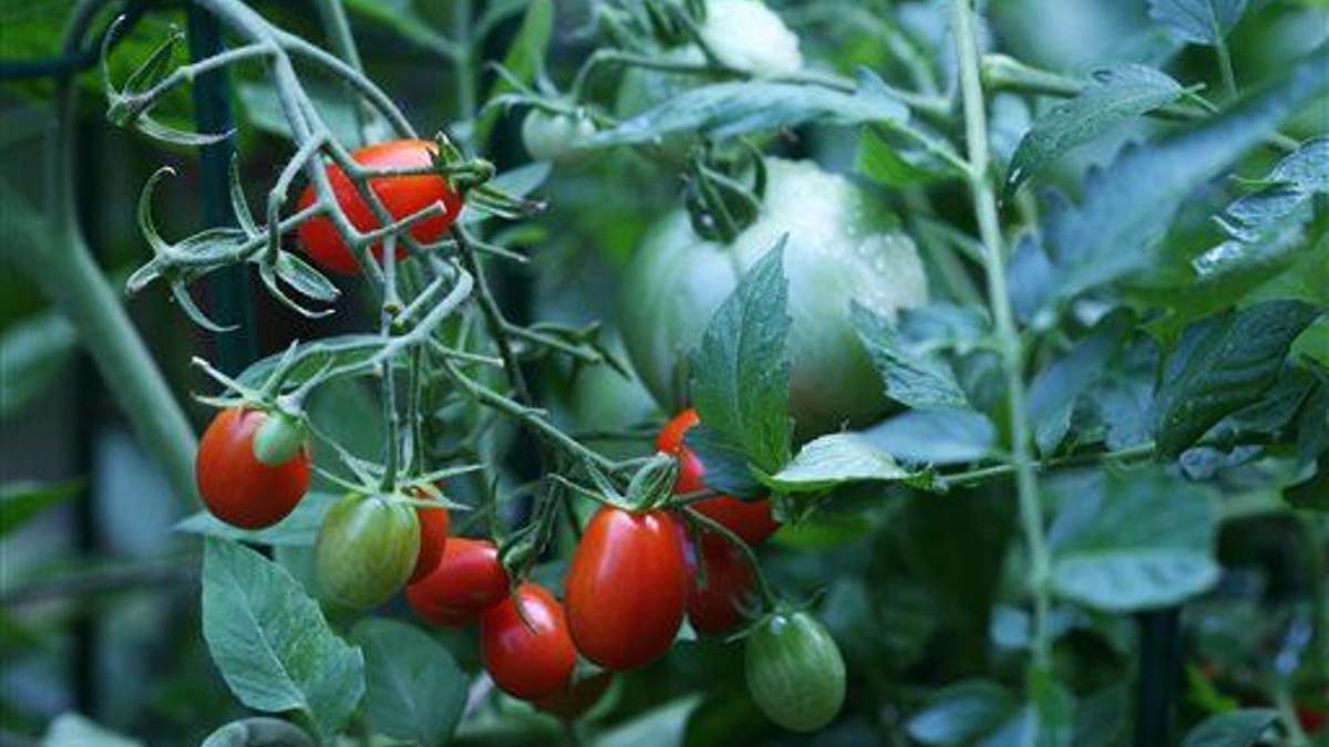 Gardening-How Early