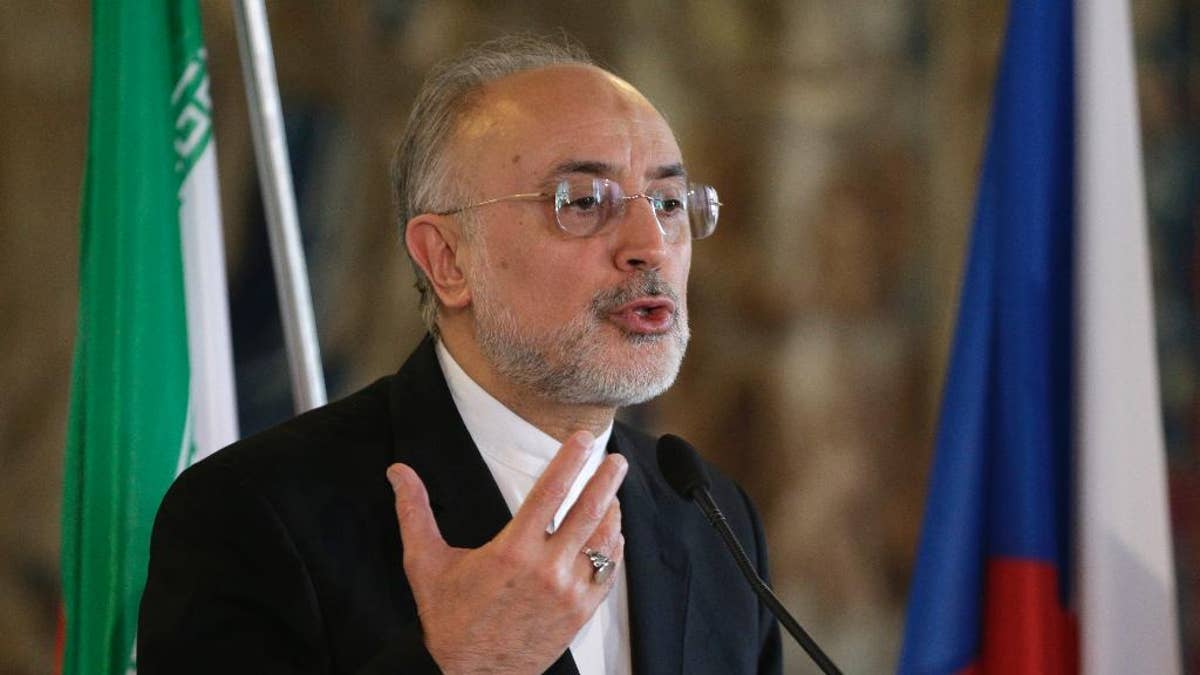 Iran's vice president and nuclear chief Ali Akbar Salehi addresses media during a press conference in Prague, Czech Republic, Monday, May 2, 2016. (AP Photo/Petr David Josek)