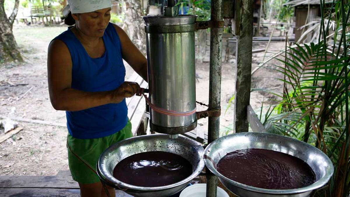 Brazilian Acai Becomes American Staple | Fox News