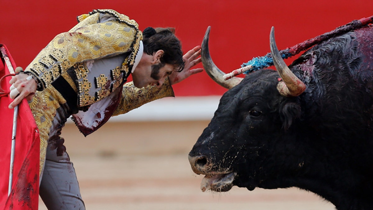 Thousands of animal rights activists gather in Madrid to protest bullfighting | Fox News Thousands of animal rights activists gather in Madrid to protest bullfighting | Fox News