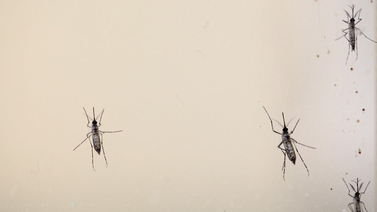 HEALTH-ZIKA/FRIEDEN