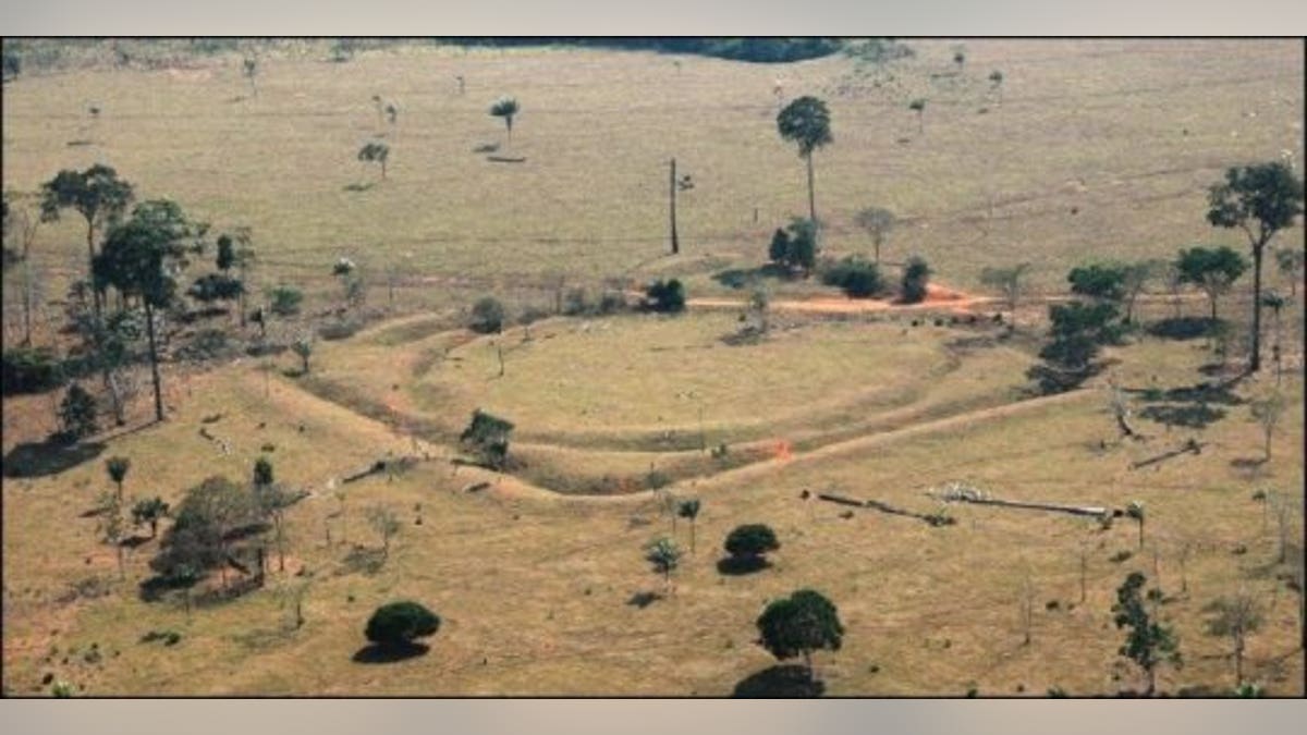 AmazonGeoglyph2