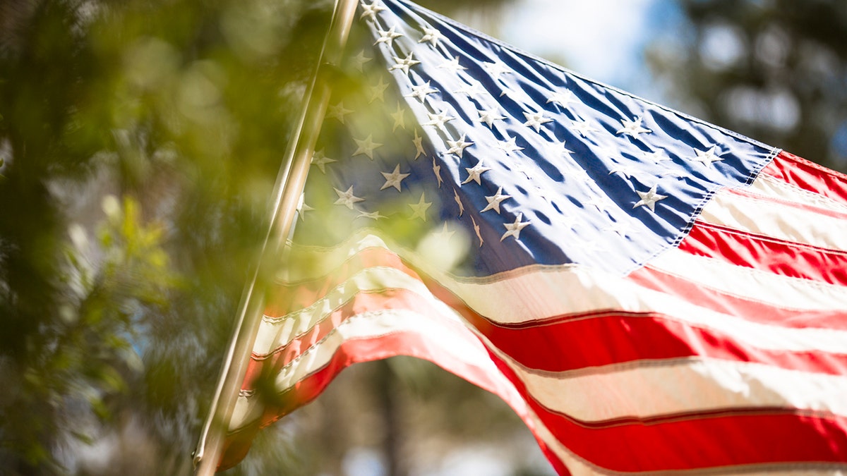 43030080-american flag istock