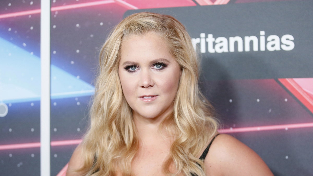 amy schumer reuters