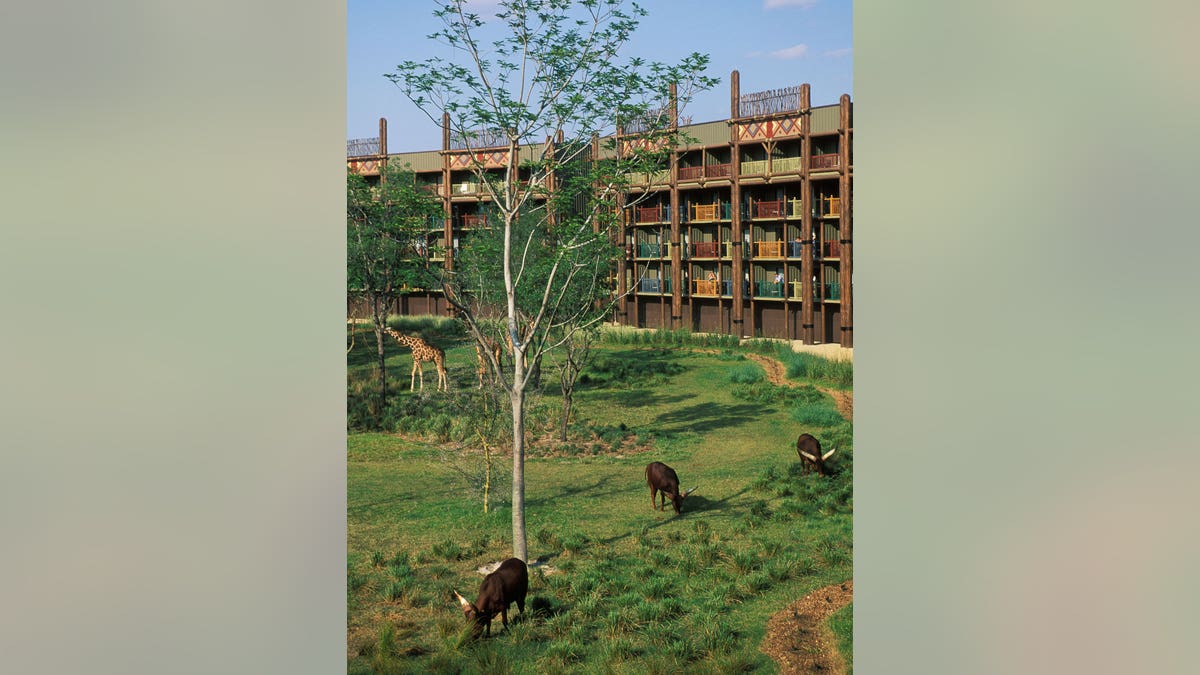 Hotels where wild animals roam free | Fox News Hotels where wild animals roam free | Fox News