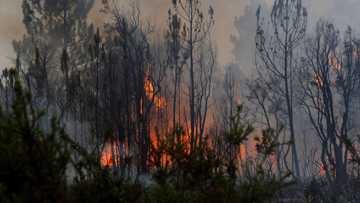 Portugal wildfires AP