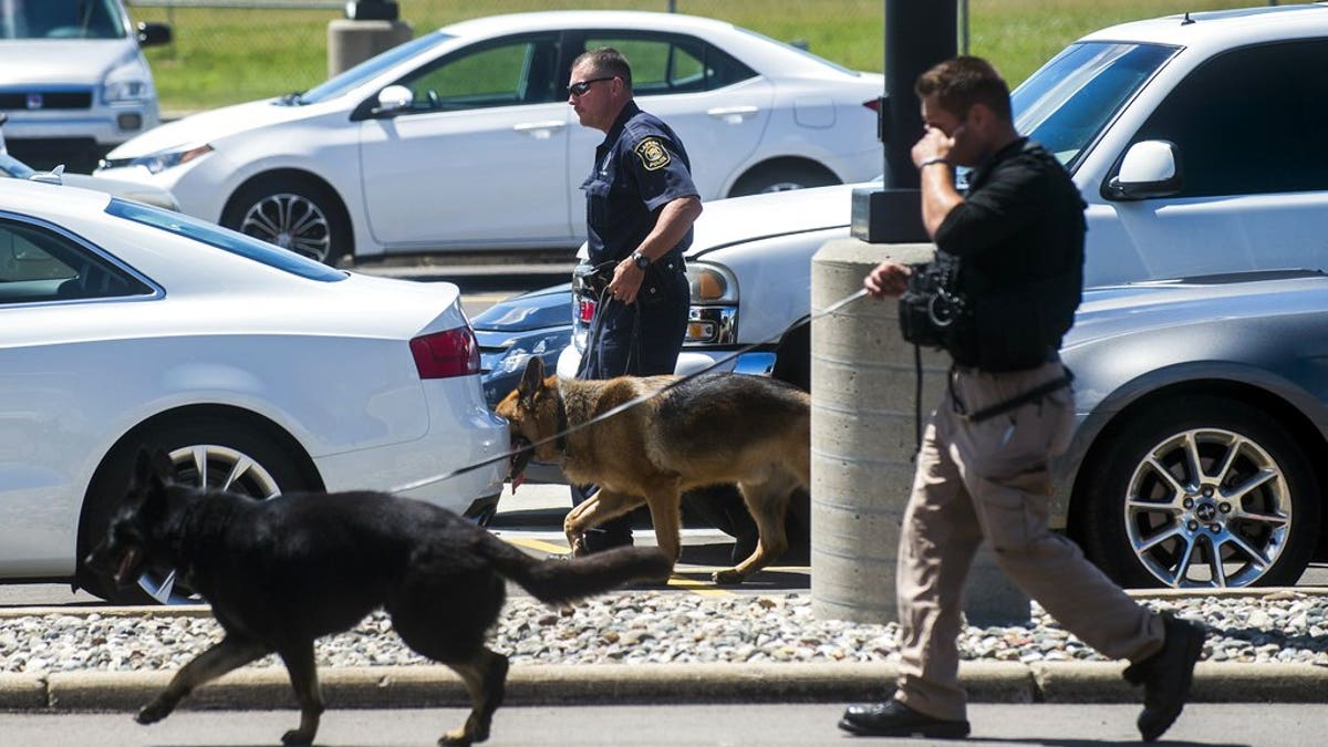 Flint Airport Dogs