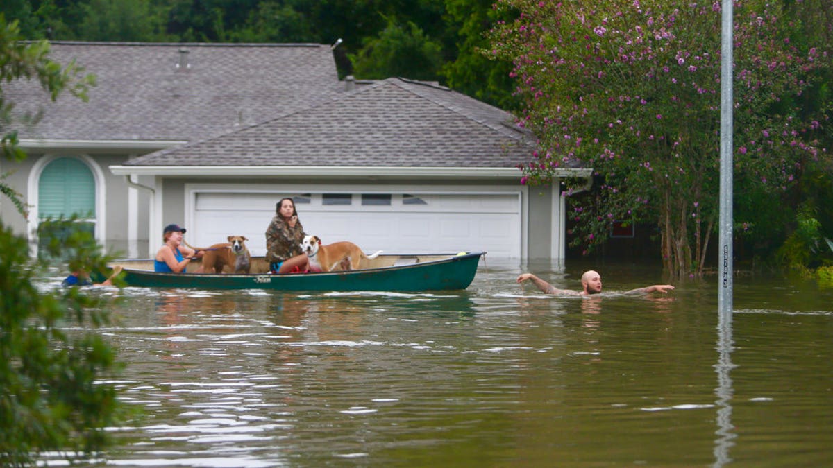 ap flooding