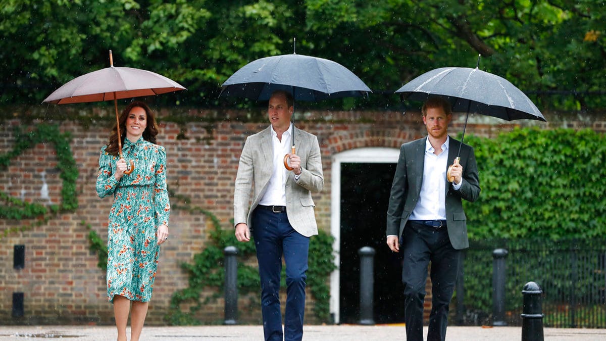 c2ea8fa1-princess diana garden