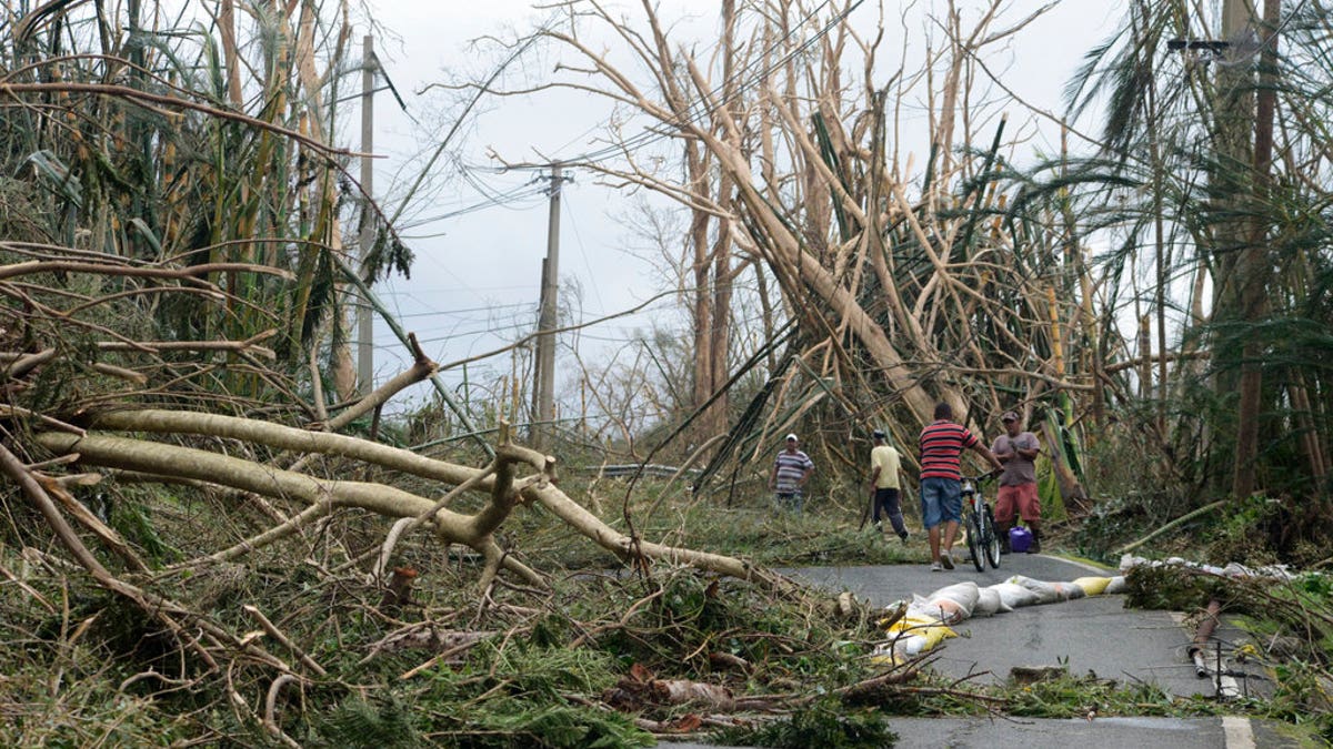 puerto rico 2 ap