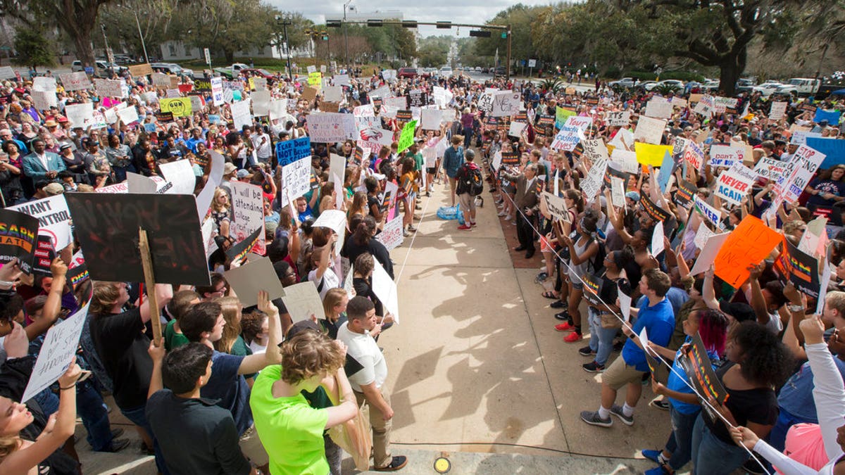 student gun protests 1