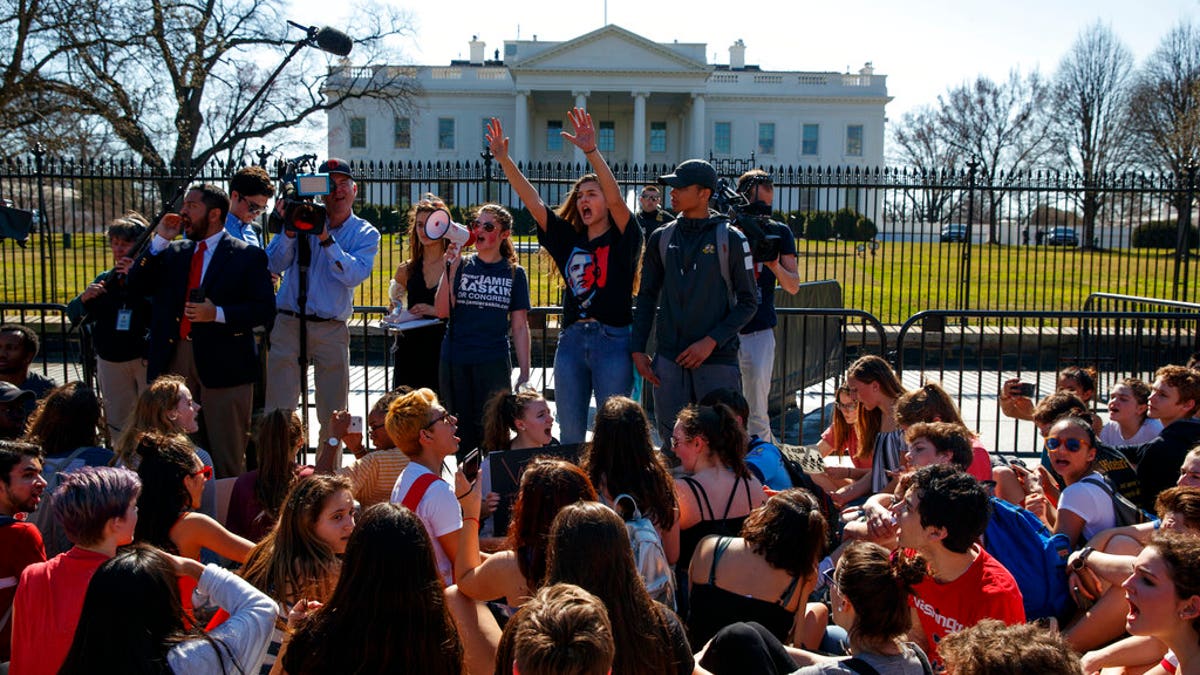 student gun protests 3