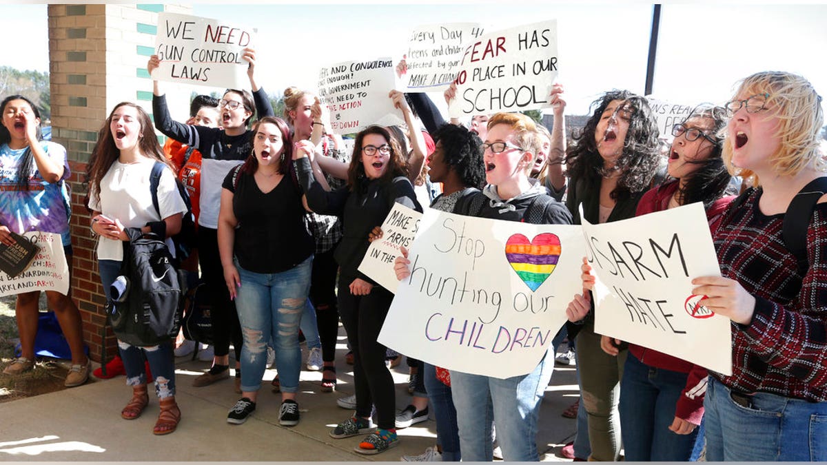 student gun protests 4