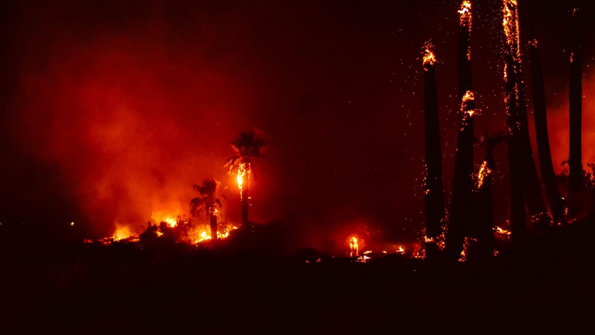 joshua tree fire