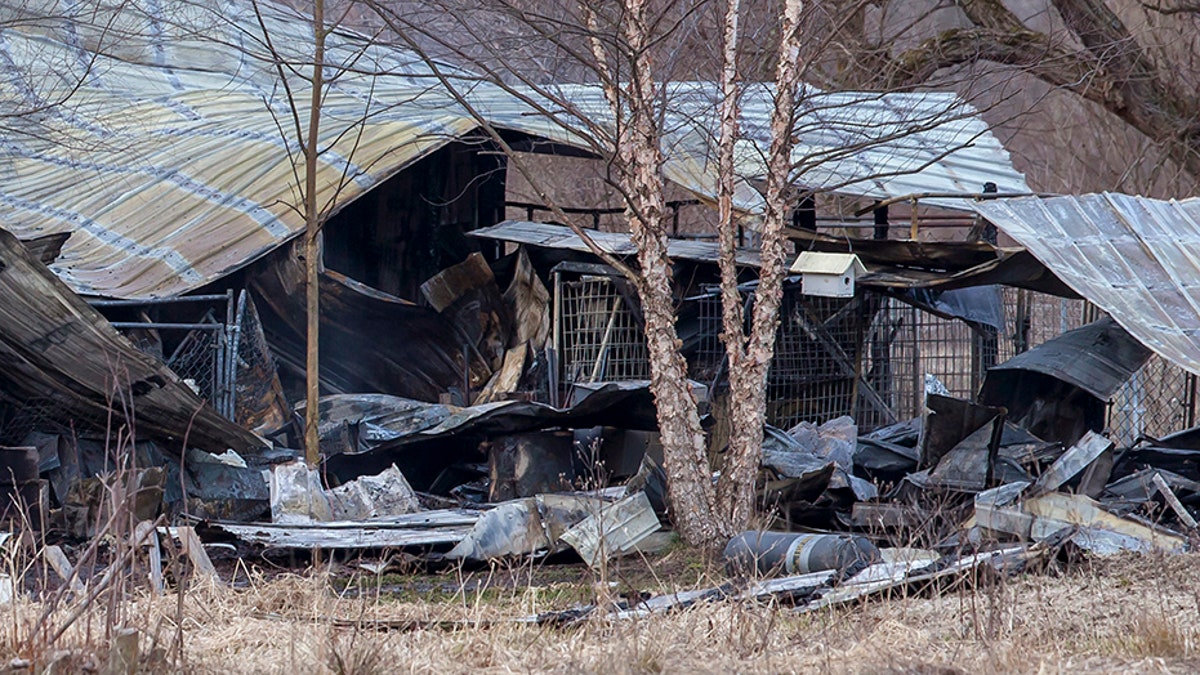 Michigan kennel fire