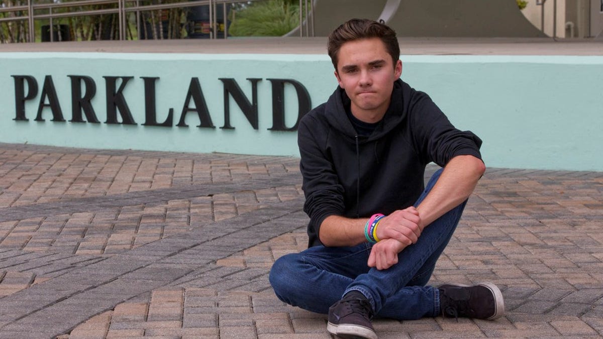 david hogg