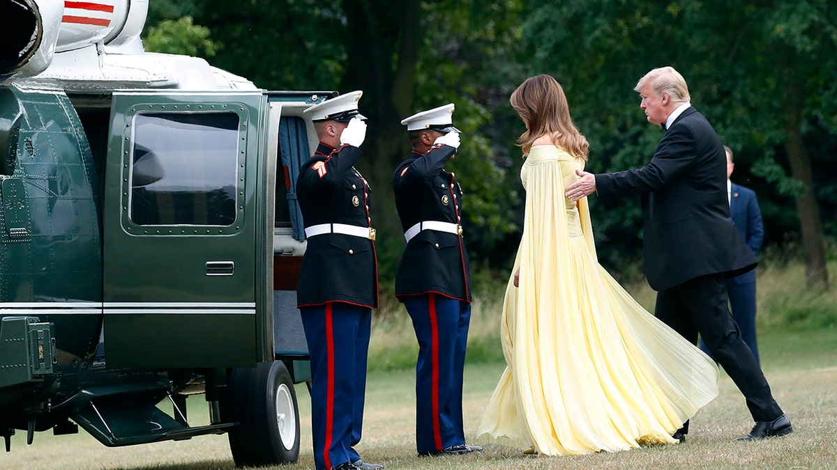 ap melania dress