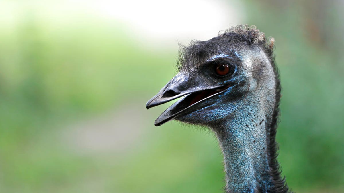 a5396819-Audubon Zoo