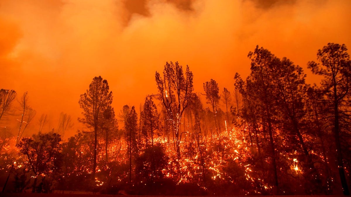 7a9a68f4-carr fire