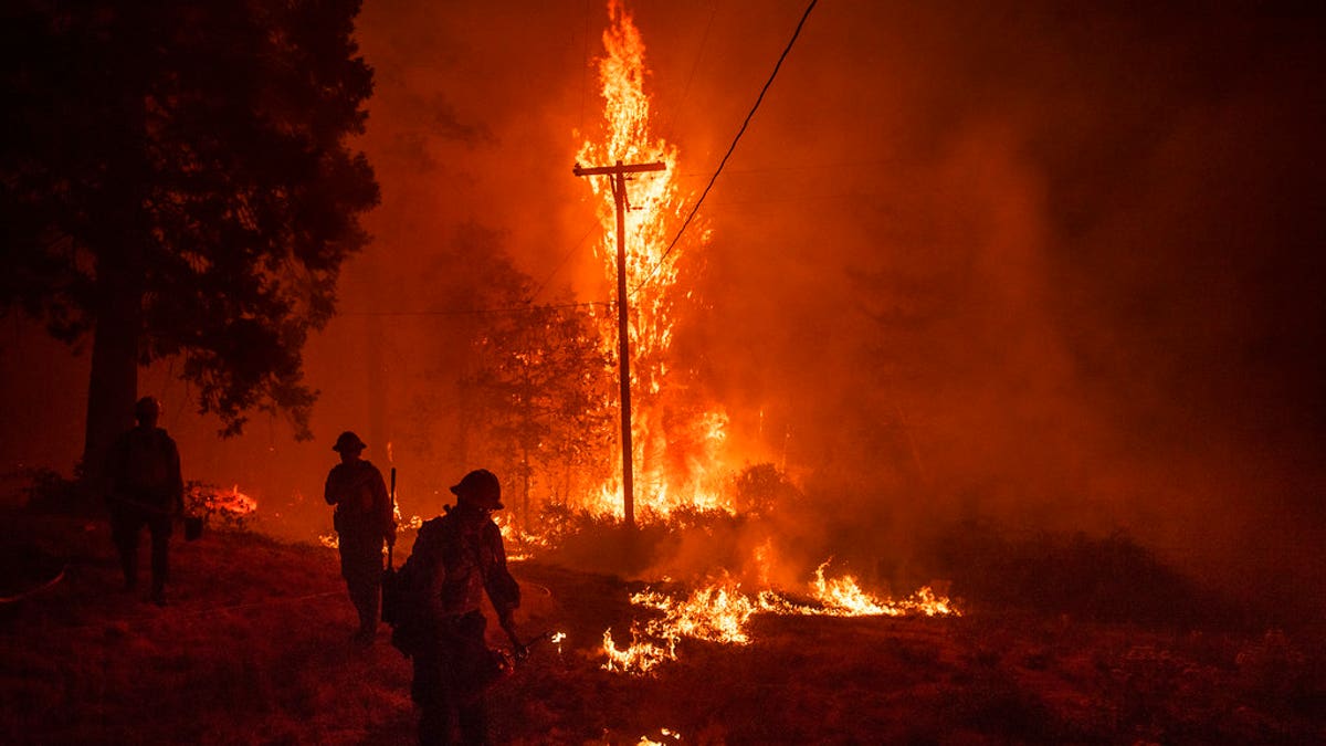 Firefighters light backfire while battling the Delta Fire in the Shasta-Trinity National Forest, Calif., on Thursday, Sept. 6, 2018. California is taking a financial wallop from unrelenting wildfires that have drained its firefighting budget and prompted nearly $1 billion in property claims even before the start of the dangerous fall fire season, officials said Thursday. (AP Photo/Noah Berger)