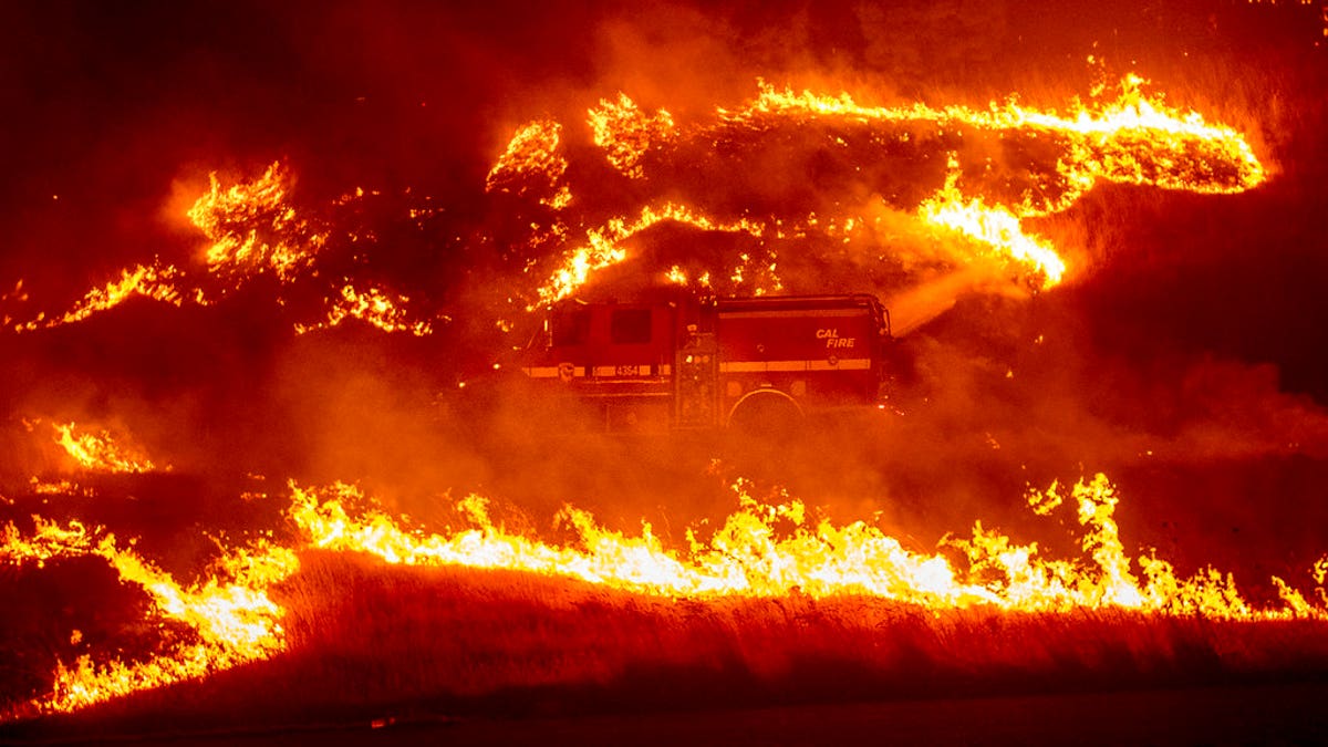 Flames from a backfire burn around a fire truck battling the Delta Fire in the Shasta-Trinity National Forest, Calif., on Thursday, Sept. 6, 2018. (AP Photo/Noah Berger)