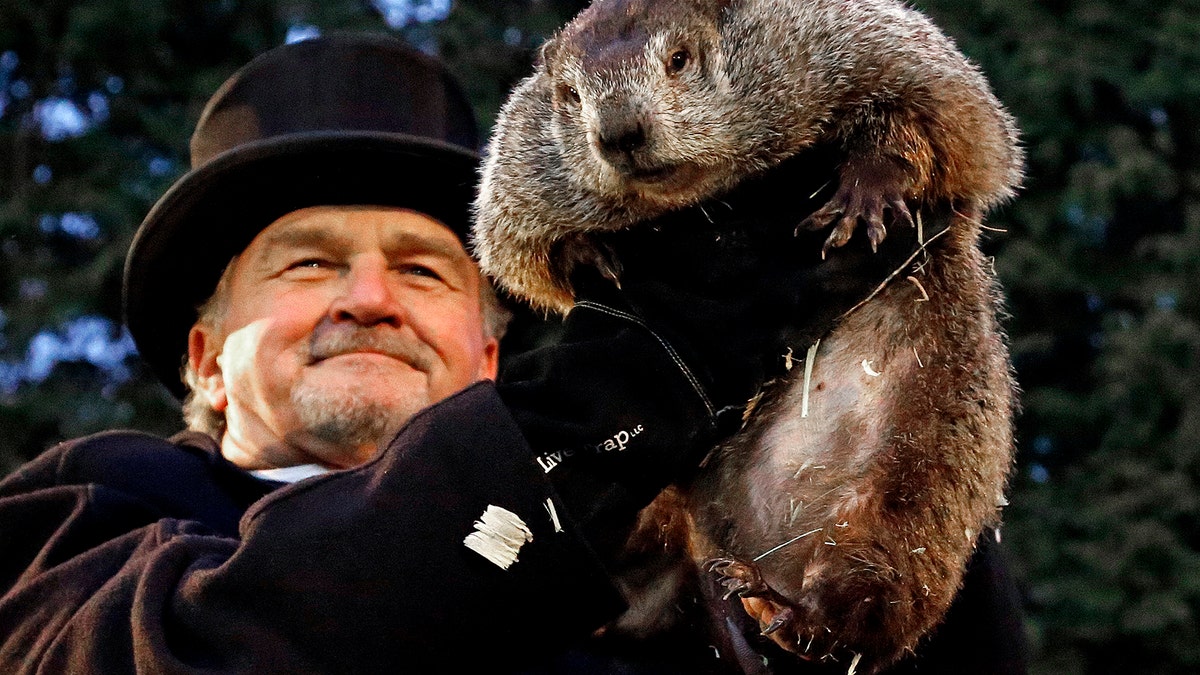 Groundhog Club handler John Griffiths holds Punxsutawney Phil, the weather prognosticating groundhog, during the 131st celebration of Groundhog Day on Gobbler's Knob in Punxsutawney, Pa. Thursday, Feb. 2, 2017. Phil's handlers said that the groundhog has forecast six more weeks of winter weather. (AP Photo/Gene J. Puskar)