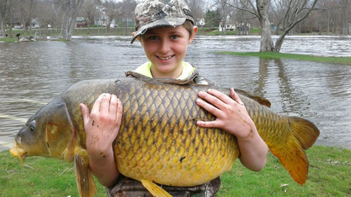 vermont carp 86