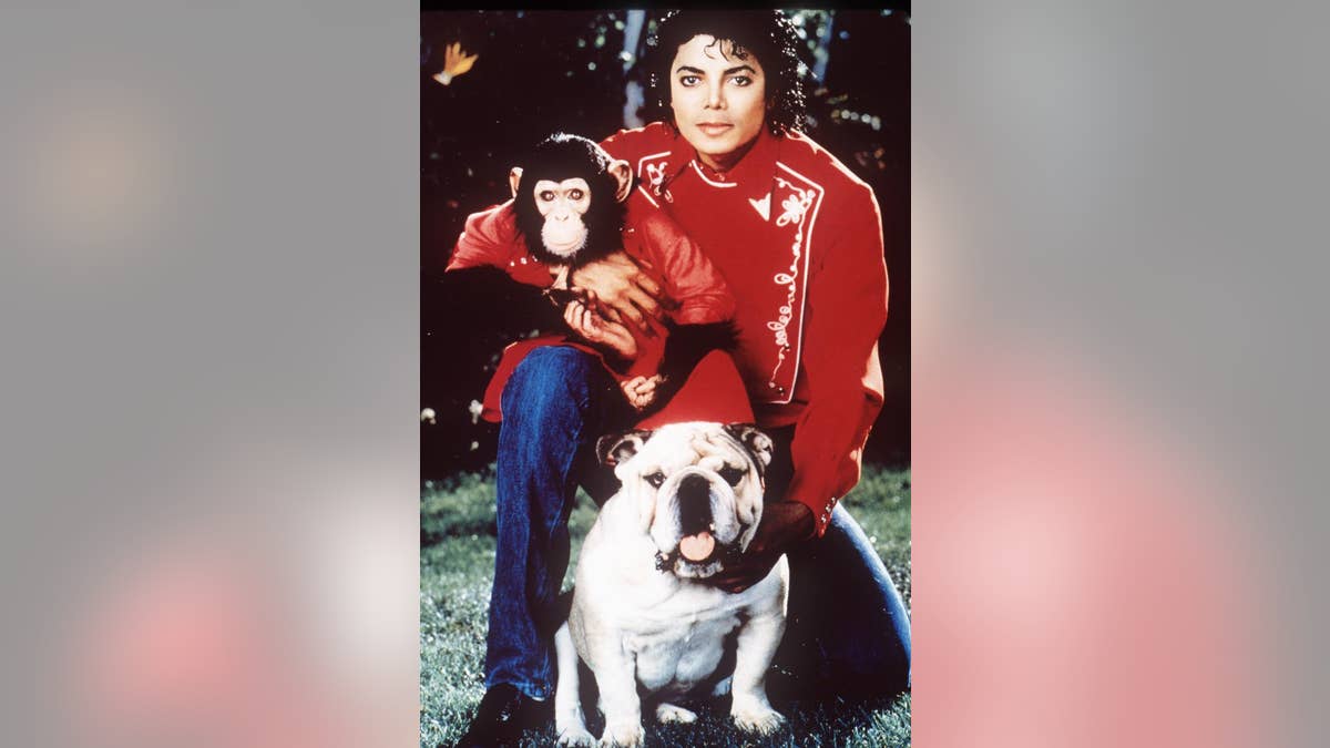 Michael Jackson's Chimpanzee