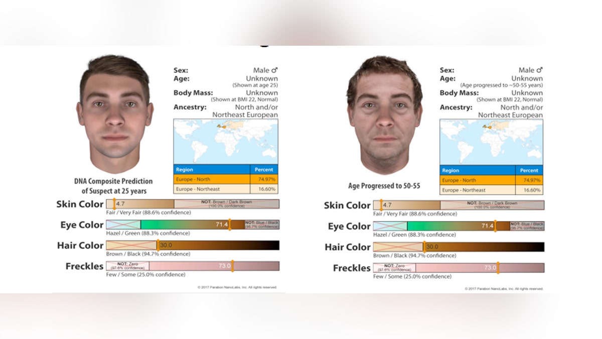 dna faces 314