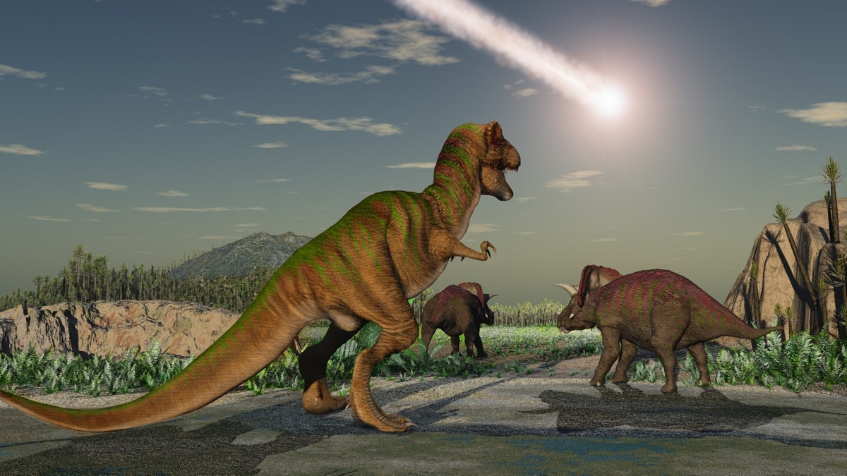 Prior to their asteroid-linked extinction, dinosaurs were already struggling to survive due to a sharp increase in mercury levels caused by a massive volcano eruption, according to a new study.